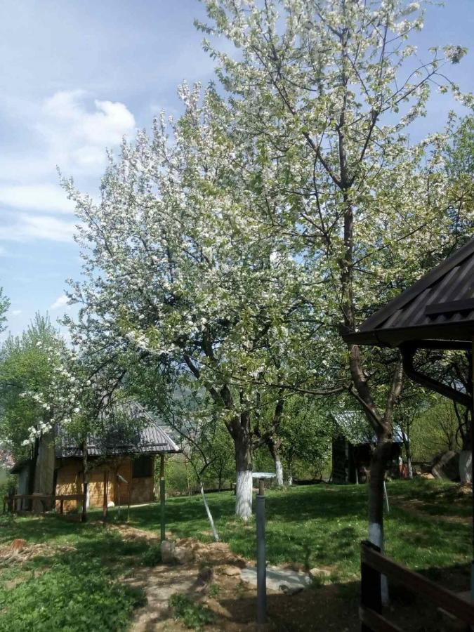Bungalows Old Town Visoko Dış mekan fotoğraf