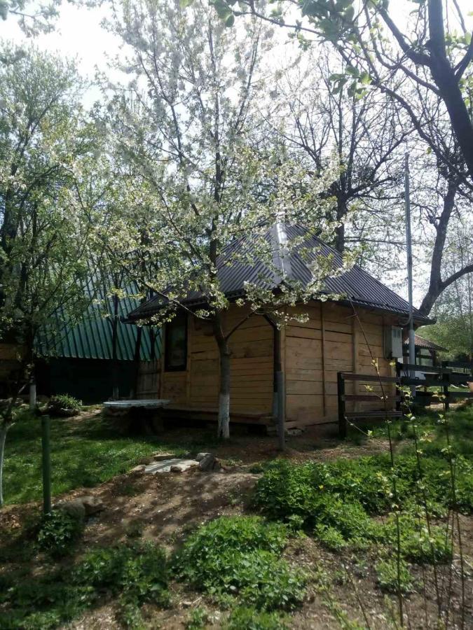 Bungalows Old Town Visoko Dış mekan fotoğraf